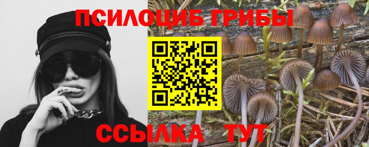 Галлюциногенные грибы Magic Shrooms  Псилоцибиновые грибы мицелий  Карачаевск  Вход с VPN 